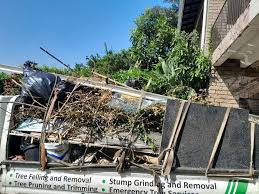 Recycling Services for Junk in Stony Point, MI