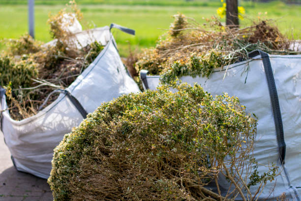 Professional Junk Removal Services in Stony Point, MI